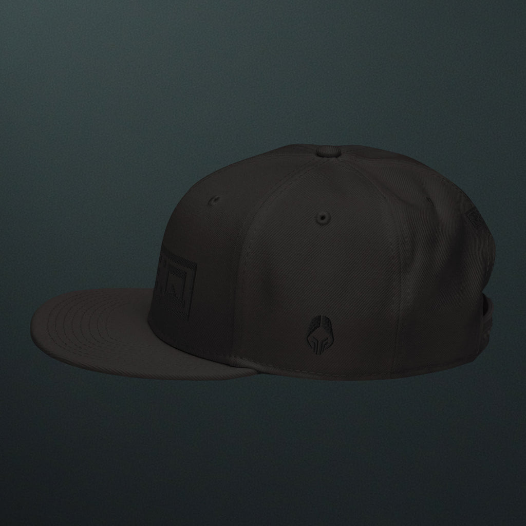 Stealth Snapback Hat