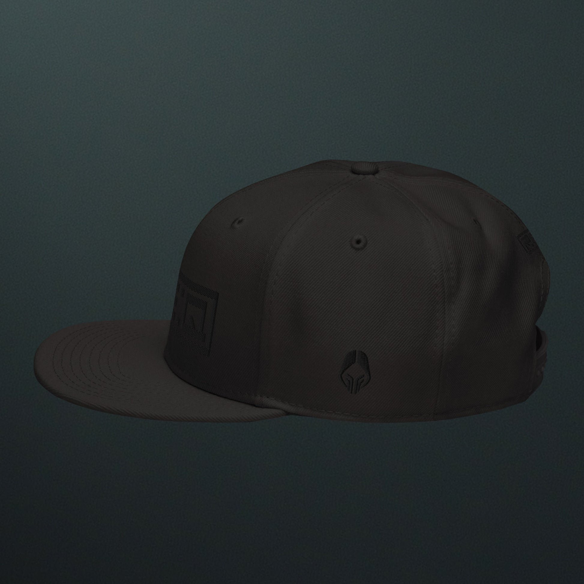 Stealth Snapback Hat