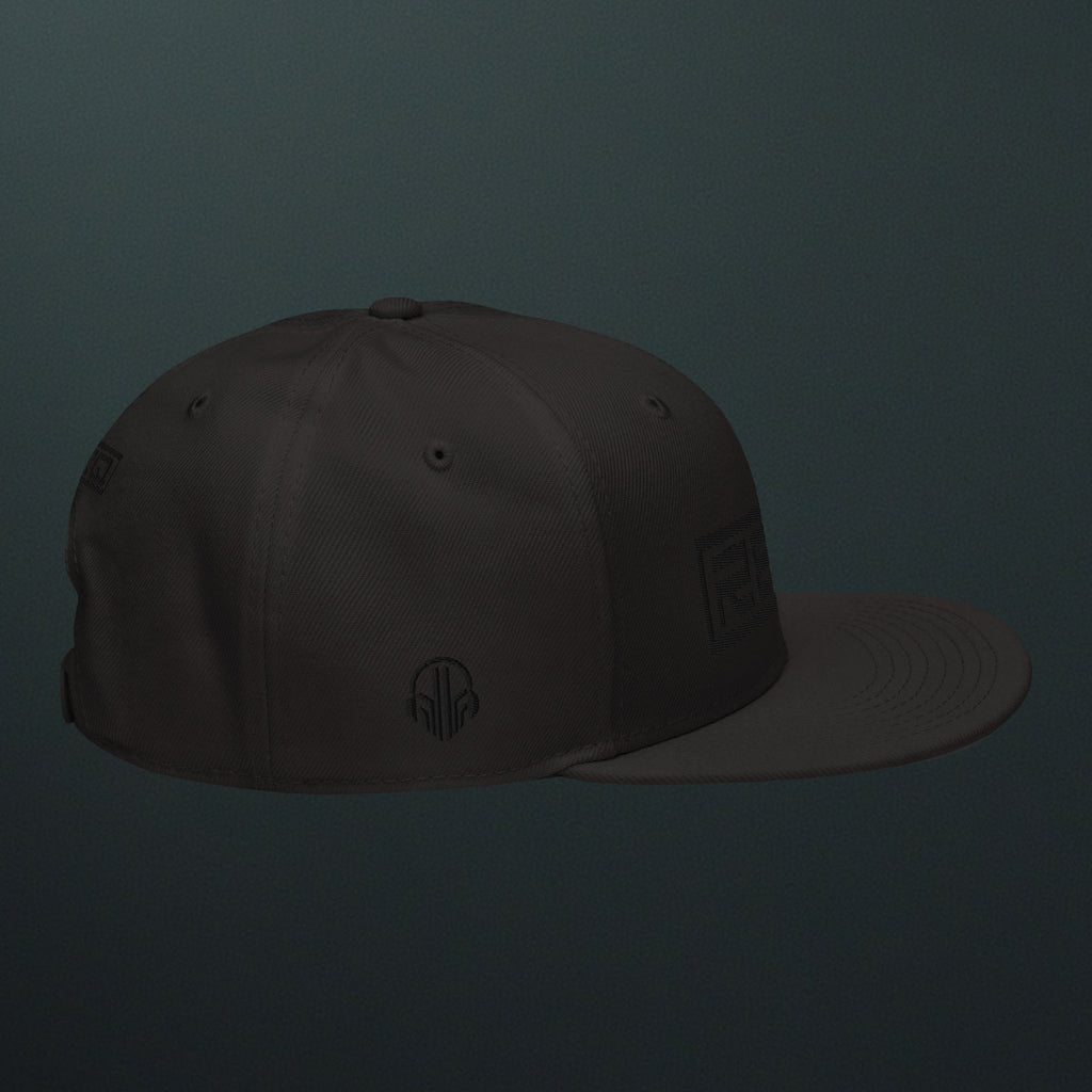 Stealth Snapback Hat